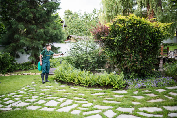Best Pest Inspection Near Me  in Sleepy Hollow, IL