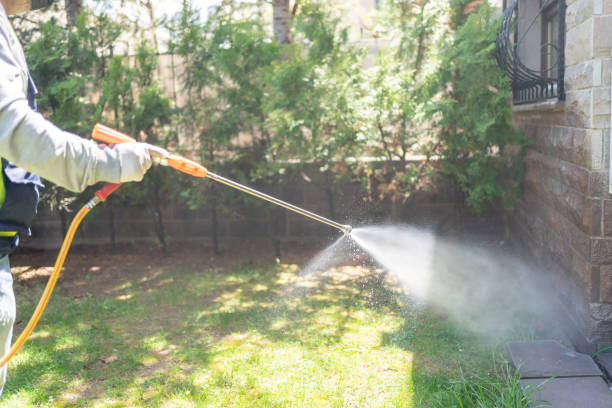Best Best Pest Control Companies  in Sleepy Hollow, IL