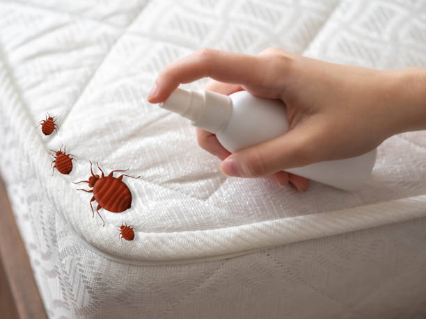 Best Pest Control Near Me in Sleepy Hollow, IL