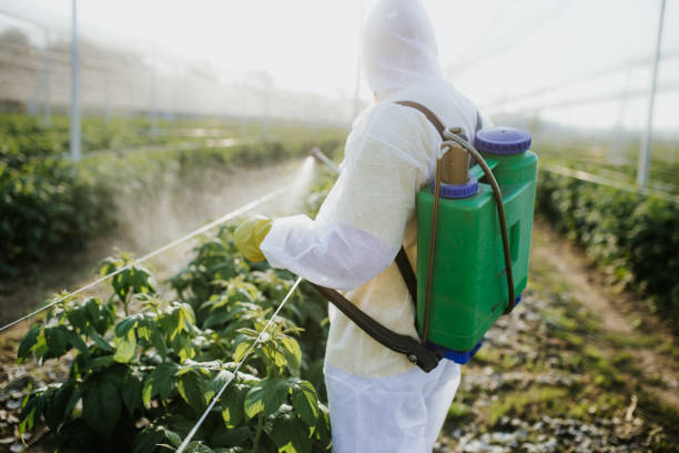 Best Best Pest Control Companies  in Sleepy Hollow, IL